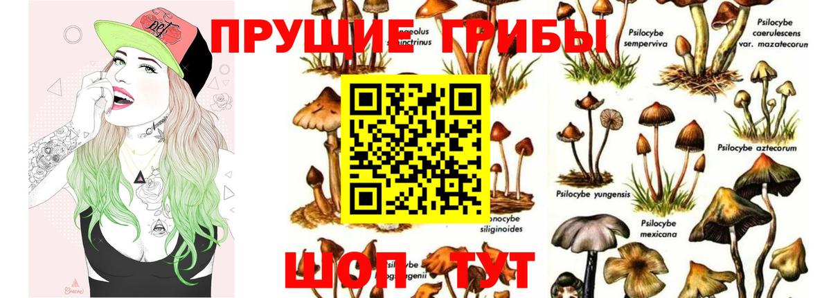 Псилоцибиновые грибы GOLDEN TEACHER  Вход с VPN  Нижнеудинск 